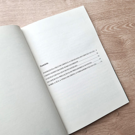 A Verdadeira Vida Cristã | Martinho Lutero | Vol. 2