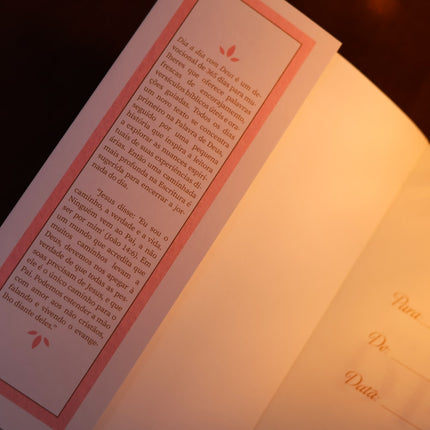 Devocional Dia a Dia Com Deus | Susan Nelson e Pamela Nixon