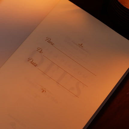 Devocional Dia a Dia Com Deus | Susan Nelson e Pamela Nixon