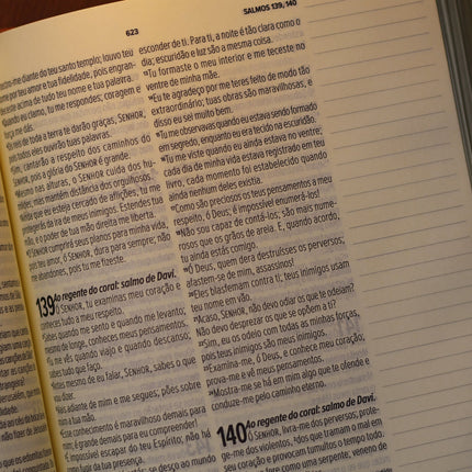 Bíblia Sagrada Leia e Anote Colossenses 1:19 | NVT | Letra Grande | Capa Luxo Bordô
