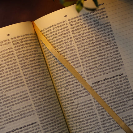 Bíblia Sagrada Leia e Anote Colossenses 1:19 | NVT | Letra Grande | Capa Luxo Bordô