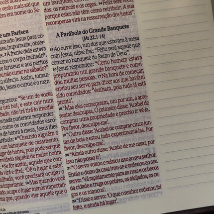 Bíblia Sagrada Leia e Anote Pássaros | NVI | Letra Grande | Capa Luxo Caramelo