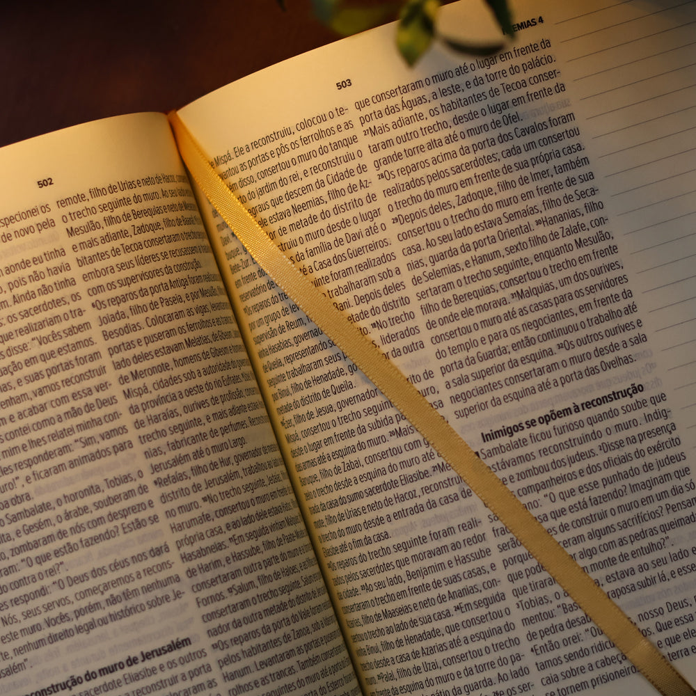 Bíblia Sagrada Leia e Anote Colossenses 1:19 | NVT | Letra Grande | Capa Luxo Bordô