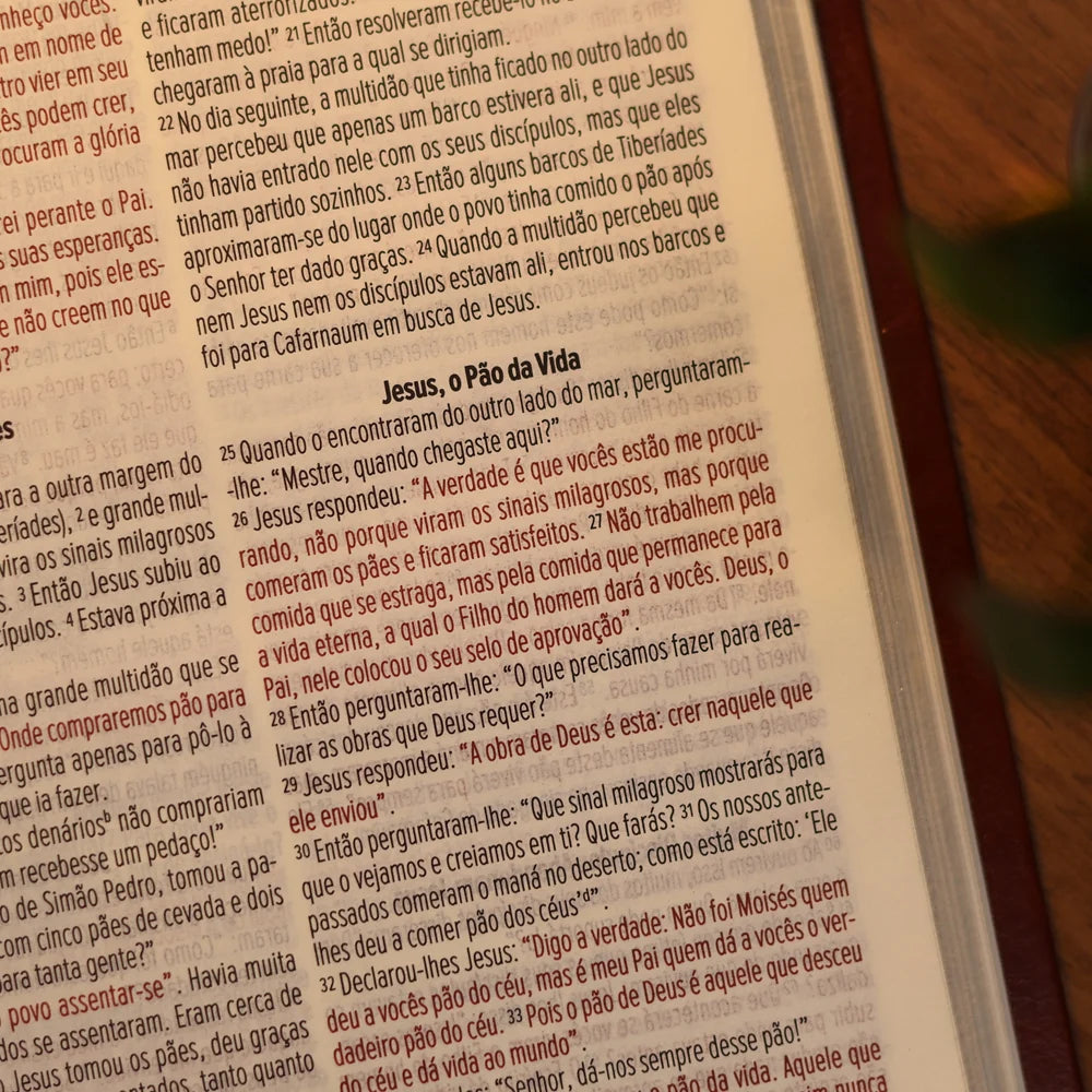 Bíblia Slim NVI | Poder da Cruz | Capa Luxo Marrom