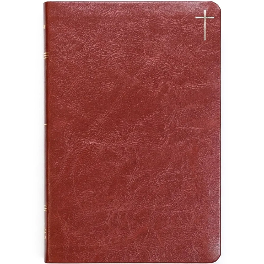 Bíblia Slim NVI | Poder da Cruz | Capa Luxo Marrom